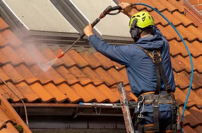 Démoussage et hydrofuge de toiture à Langonnet